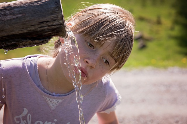 water filter that filters out fluoride