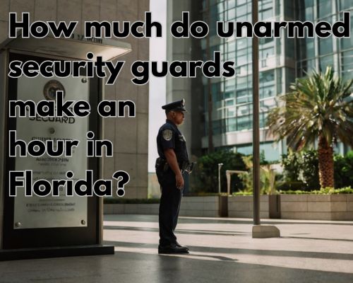 a licensed unarmed security guard