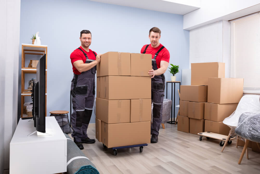 Best East Lake Weir Movers For Fragile Items
