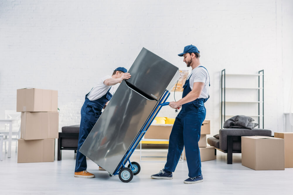 Commercial Moving Services Pomona Park