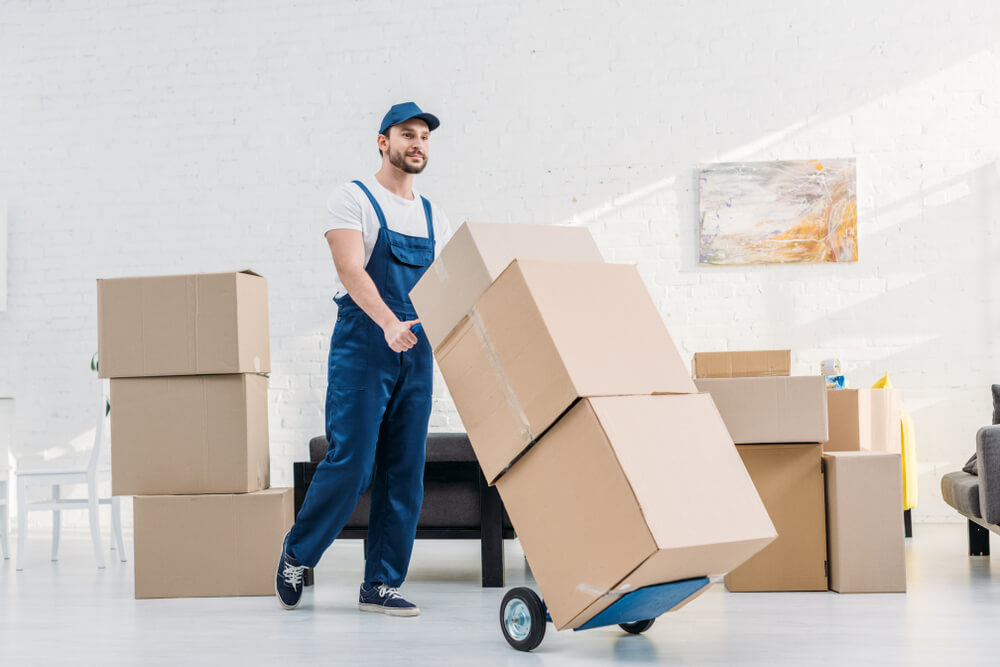International Moving Insurance Options Canada To USA