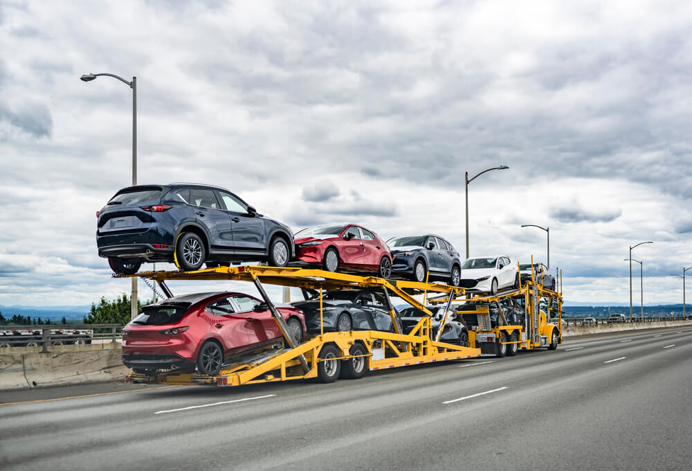 Southwest Auto Logistics Expert